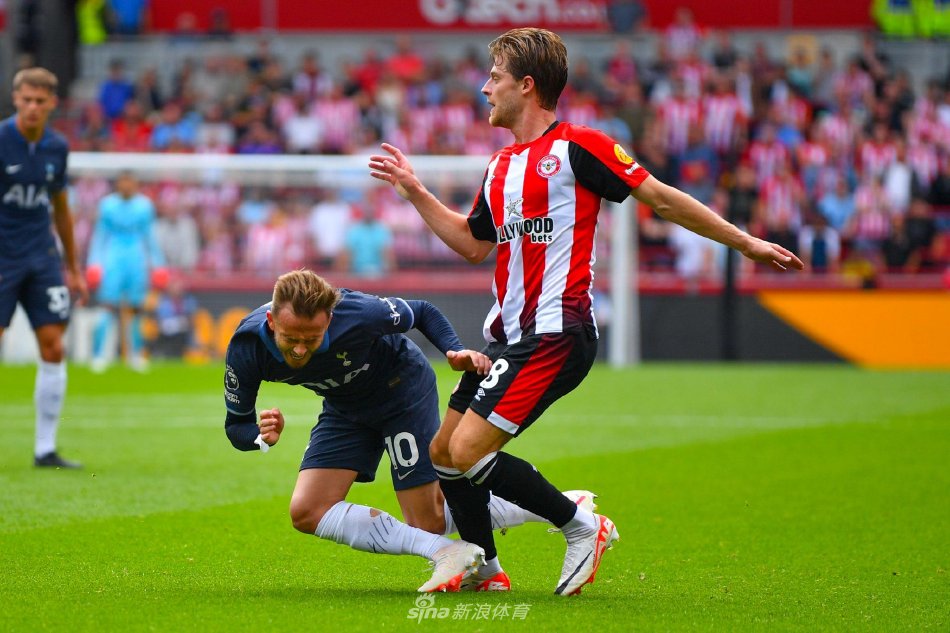 人球分过 人球分过